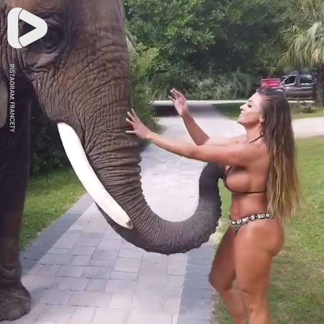 it gone viral elephant won leave woman alone facebook başlıklı videoyu bura...