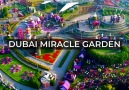 Amazing Nature And Flowers - The Most Beautiful Dubai Miracle Garden Facebook