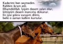 Amin Amin Amin yarabbim - Dini Hikaye Ve Hadisler