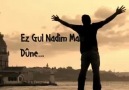 AYLE GULE GULAMINİ..