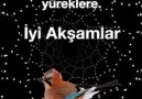 İlahi Kervanı le Hier