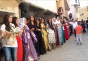 Şırnak Yöresel Düğün 2013 Yeni (Havin Müzik)