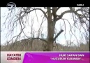 Türküler Diyarı - Huri Sapan - Huzurum Kalmadı