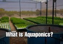 When people ask you What is Aquaponics SHARE this video with them.