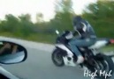 Cobra Vs. Gsxr 1000