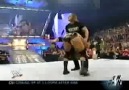 Shawn Michaels Pedigree