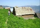 **ŞÜKRÜ GÜLER** GÜLMEYE HASRET KALDIM MUTLULUĞA YABANCI